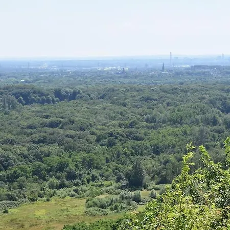 Schoene In Oberhausen (North Rhine-Westphalia)