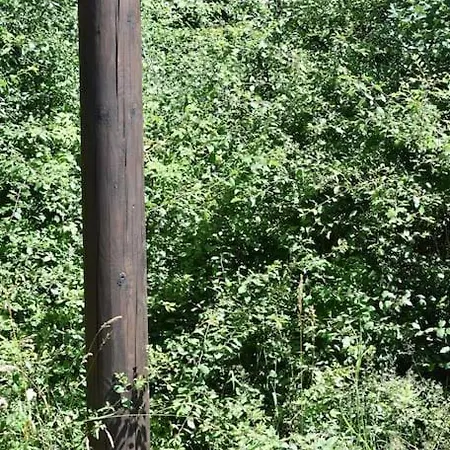 Apartment Schoene In *