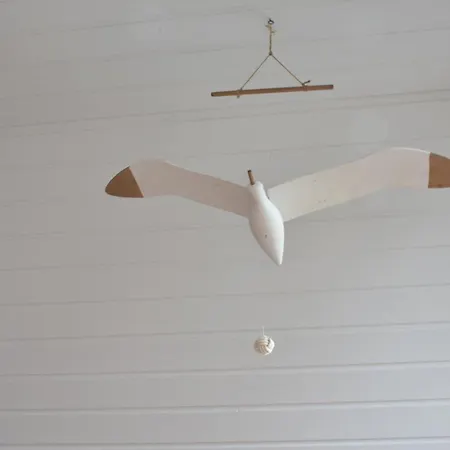 Schoene In Apartment