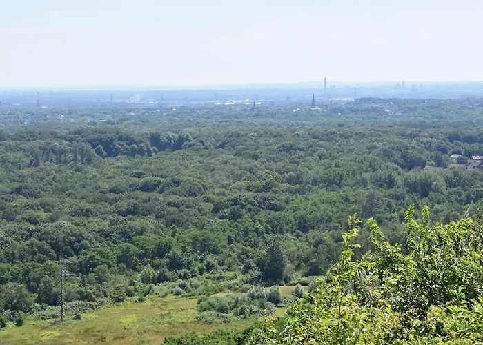 Schoene In Oberhausen (North Rhine-Westphalia)