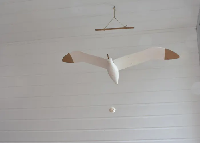 Schoene In Apartamento